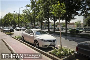 پارک خودرو‌ بین درختان چنار 5