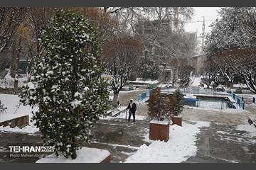 روز برفی تهران - 2 37