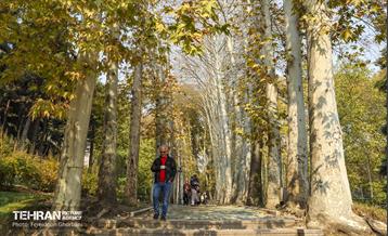 سمفونی رنگ های پاییزی - کاخ سعدآباد 14