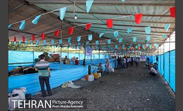 مرکز عرضه دام بهداشتی به مناسبت عید قربان در منطقه 14