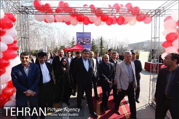 آیین کاشت درخت مادر 5