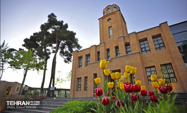 Ghasr Museum Garden / Shayan Mehrabi