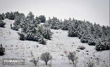 درکه پس از بارش برف  5
