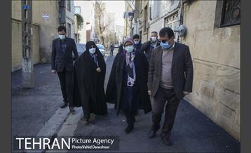 بازدید اعضای شورای شهر از منطقه 17