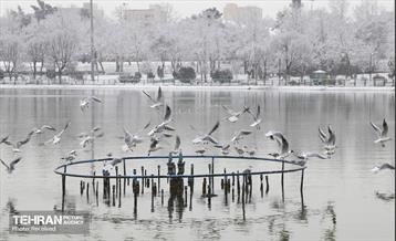 روز برفی تهران - 3 32