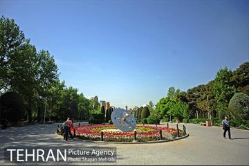 رویش گل های لاله در بوستان لاله 2