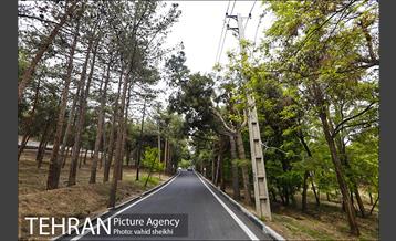 پارک چیتگر 1