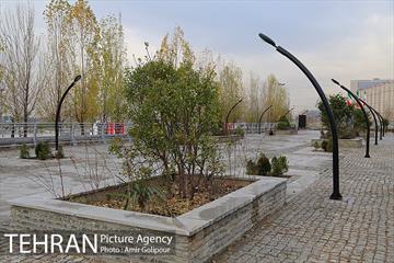 گذرفرهنگی تاراز 2