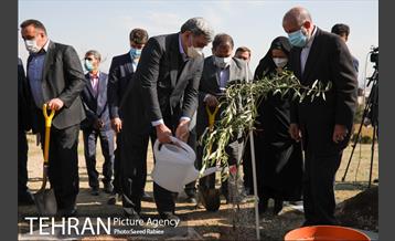 مراسم درختکاری در بوستان پردیسان 16