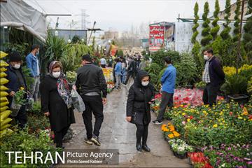 بازار گل و گیاه غرب تهران در آستانه نوروز 30