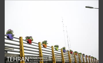 استقبال از بهار در خیابانهای تهران 28