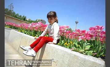 رویش گل های لاله در بوستان گفتگو 20