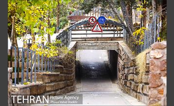 باغ راه فدک 9