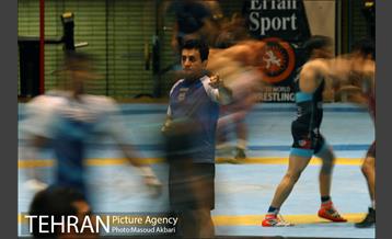 برگزاری تمرینات تیم ملی کشتی فرنگی 24