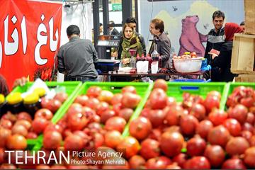 یازدهمین نمایشگاه محصولات غذایی ارگانیک 8