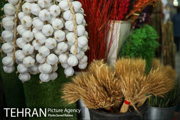 بازار گل و گیاه غرب تهران در آستانه نوروز 2