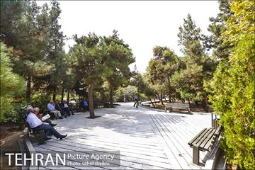 بوستان سنگی 7