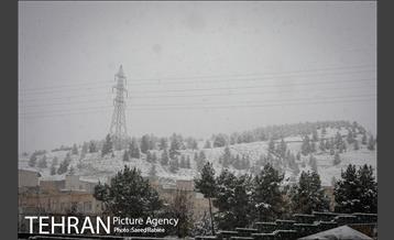 بارش نخستین برف پاییزی در تهران 7