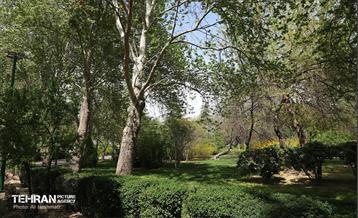 بوستان بانوان نرگس 26