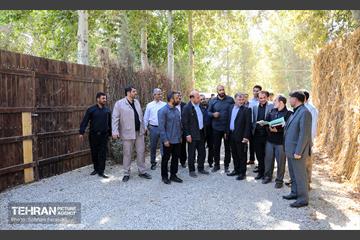 بررسی میدانی معضلات و مشکلات منطقه ۱۸