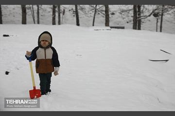 روز برفی تهران - 2 16
