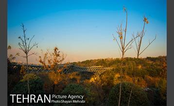 پاییز پل طبیعت 25