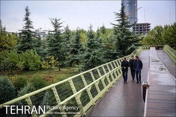 بارش باران پاییزی در تهران 3