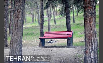 پارک جنگلی لویزان‎ 13