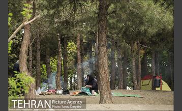 بوستان جنگلی لویزان 9