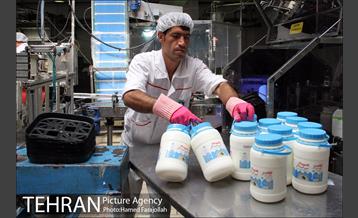 خط تولید شرکت صنایع شیر ایران 6