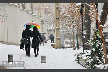 تهران برفی  13