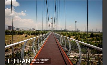 پل معلق بوستان نهج البلاغه 12