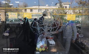 تره‌بار یلدایی 44