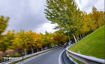 سمفونی رنگ های پاییزی  35