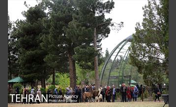 آیین بهره برداری باغ راز هستی 4