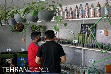 طرح گلماند در منطقه 18