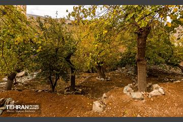رود دره فرحزاد 15