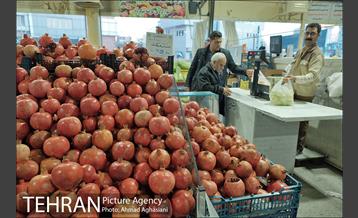 میدان میوه وتره بار شهید غیبی شهرری 22