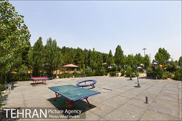 بوستان جنگلی یاس فاطمی 29