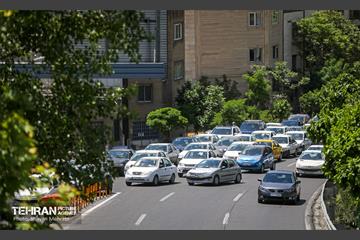 بی قانونی؛ تخلف جناغی 35