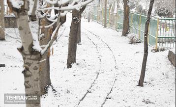 روز برفی تهران - 3 34