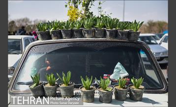 بازار گل شهید محلاتی 24