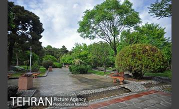 بوستان لاله 6