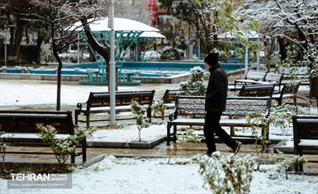 روز برفی در منطقه 8 4