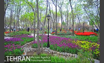 روش گل های لاله در باغ ایرانی 23