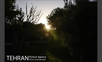 بوستان پلیس 21