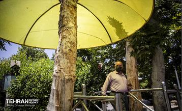 جان دوباره در درختستان 12