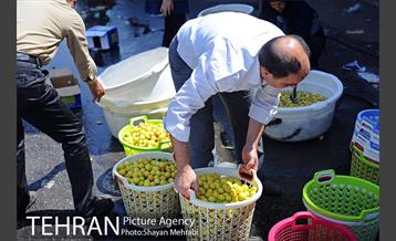 بازار میوه تربار مرکزی 29