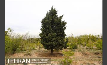 پارک ملی سرخه‌حصار 21