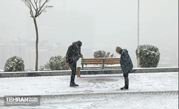 بارش برف زمستانی در منطقه ۲ 33